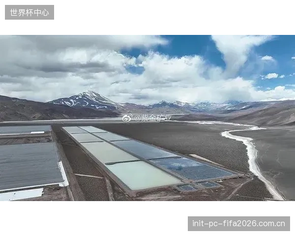 阿根廷技术分析团队正在建模，研究潜在对手在高温、高湿及高原环境下的历史比赛数据。